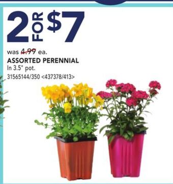 Lowe's Assorted perennial offer