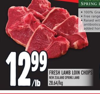Metro Fresh lamb loin chops new zealand spring lamb offer