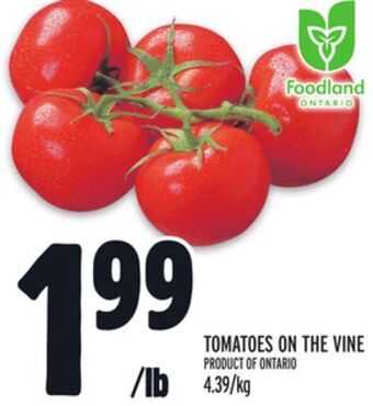 Metro Tomatoes on the vine offer