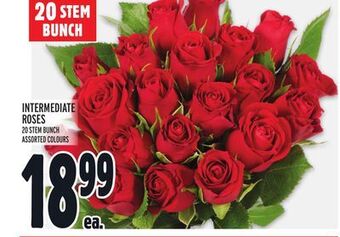 Metro Intermediate roses offer