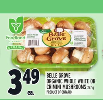 Metro Belle grove organic whole white or crimini mushrooms offer