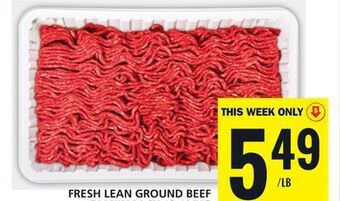 Food Basics Fresh lean ground beef offer