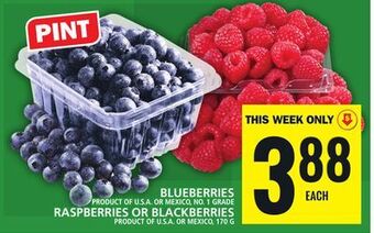 Food Basics Blueberries, raspberries or blackberries offer