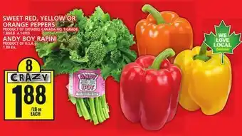 Food Basics Sweet red, yellow or orange peppers or andy boy rapini offer