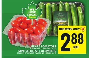 Food Basics Grape tomatoes or mini seedless cucumbers offer
