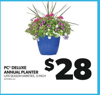 Real Canadian Superstore Pc® deluxe annual planter, 12 inch offer