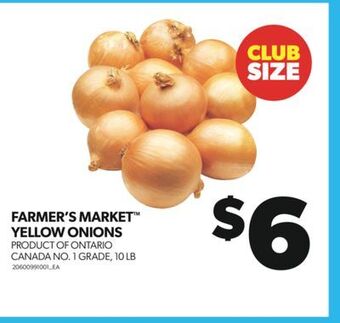 Real Canadian Superstore Farmer's market™ yellow onions, 10 lb offer