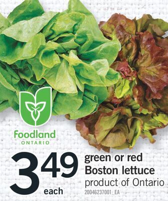 Fortinos Green or red boston lettuce offer