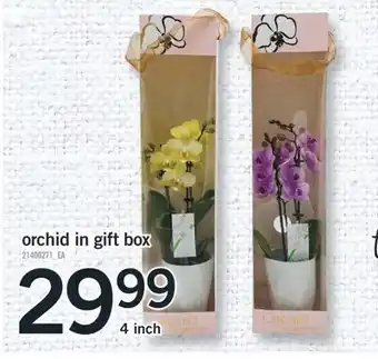 Fortinos Orchid in gift box offer