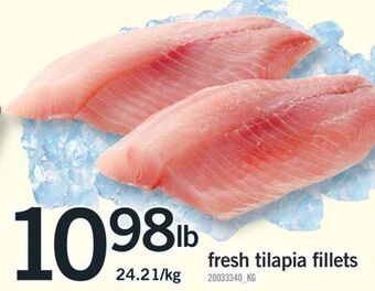 Fortinos Fresh tilapia fillets offer