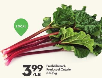 Longo's Fresh rhubarb offer