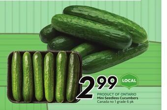 Sobeys Mini seedless cucumbers offer