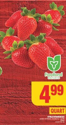 No Frills Strawberries, quart offer