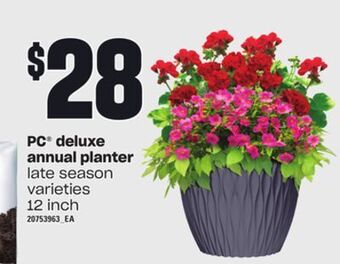 Loblaws Pc® deluxe annual planter, 12 inch offer