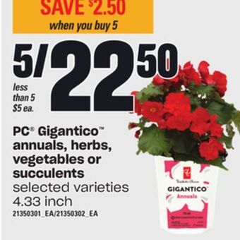 Loblaws Pc® gigantico annuals, herbs, vegetables or succulents, 4.33 inch offer