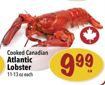 Farm Boy Cooked canadian atlantic lobster offer