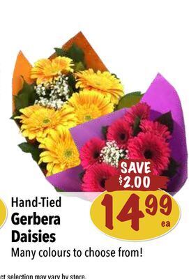 Farm Boy Hand-tied gerbera daisies offer