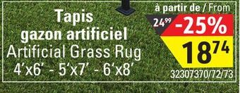 Sushi Shop Artificial grass rug offer