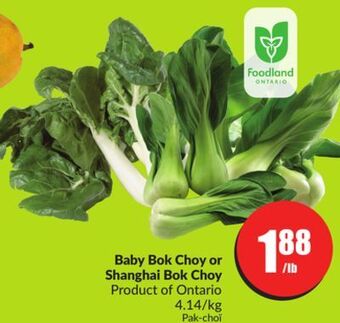 Chalo FreshCo Baby bok choy or shanghai bok choy product of ontario 4.14/kg offer