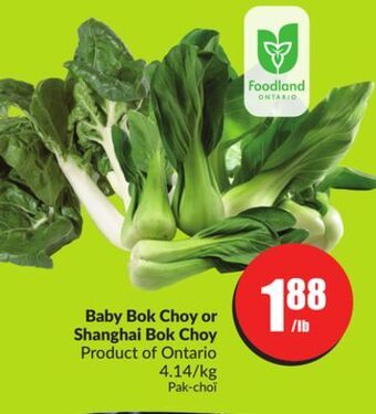 FreshCo Baby bok choy or shanghai bok choy product of ontario 4.14/kg offer