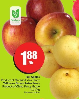 FreshCo Fuji apples product of ontario extra fancy yellow or brown asian pears product of china fancy grade 4.14/kg offer