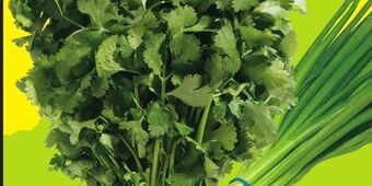 FreshCo Cilantro or green onions product of canada, usa or mexico offer