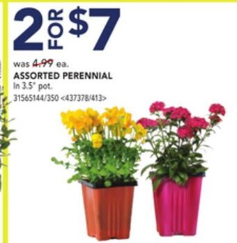 RONA Assorted perennials offer