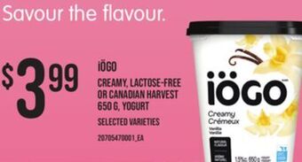 Zehrs Markets Iögo creamy, lactose-free or canadian harvest 650 g, yogurt offer
