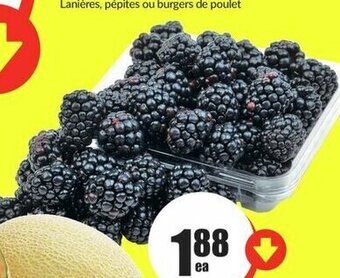 FreshCo Blackberries 170 g offer