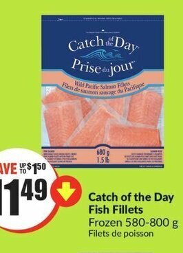 FreshCo Catch of the Day Fish Fillets Frozen 580-800 g offer