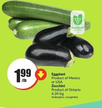 FreshCo Eggplant or Zucchini offer