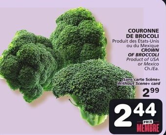 IGA Crown of Broccoli offer