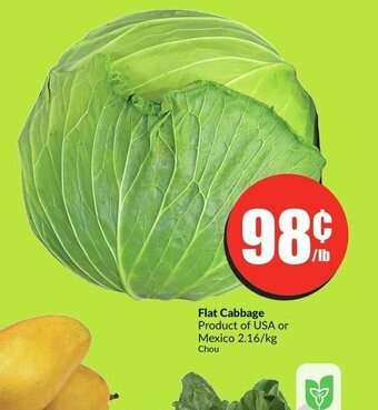 FreshCo Flat Cabbage offer