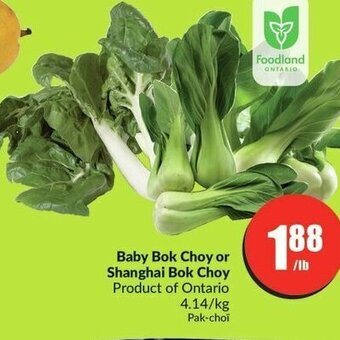 FreshCo Baby Bok Choy or Shanghai Bok Choy offer
