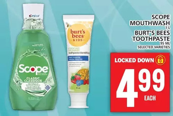 Food Basics Scope mouthwash | burt's bees toothpaste offer