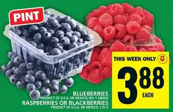 Food Basics Blueberries | raspberries | blackberries offer