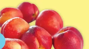 Giant Tiger 2 lb nectarines offer