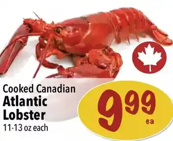 Farm Boy Atlantic lobster offer
