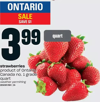 Independent Grocer Strawberries offer