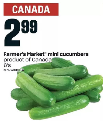 Loblaws Farmer's market mini cucumbers offer
