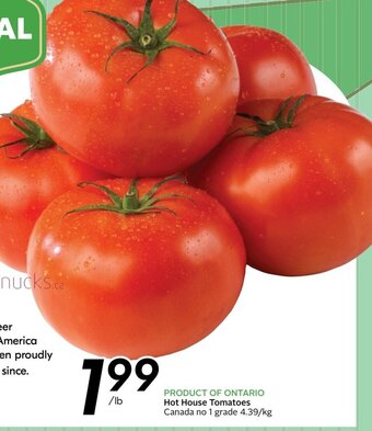 Sobeys Hot House Tomatoes offer