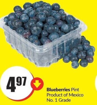 FreshCo Blueberries offer