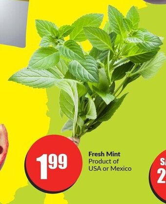 FreshCo Fresh Mint offer