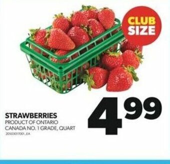 Real Canadian Superstore STRAWBERRIES offer