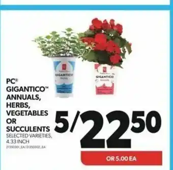 Real Canadian Superstore PCⓇ GIGANTICO™ ANNUALS, HERBS, VEGETABLES OR SUCCULENTS , 4.33 INCH offer