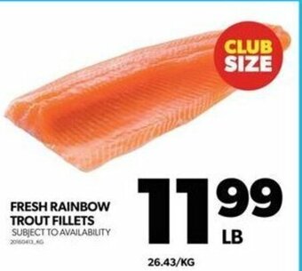 Real Canadian Superstore FRESH RAINBOW TROUT FILLETS offer