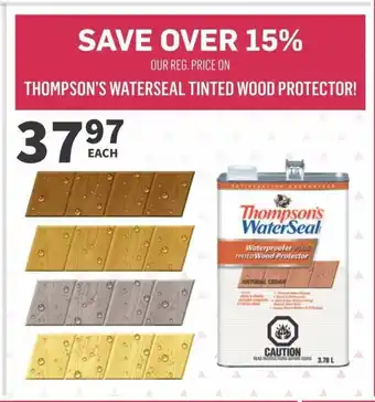 Co-op THOMPSON'S WATERSEAL TINTED WOOD PROTECTOR! offer