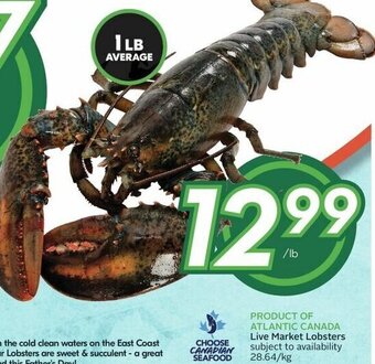 Sobeys Live Market Lobsters offer
