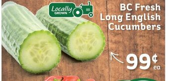 IGA BC Fresh Long English Cucumbers offer