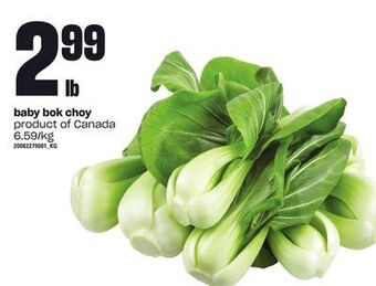 Loblaws Baby bok choy offer